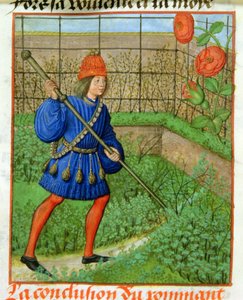 The lover attains the rose, from the 