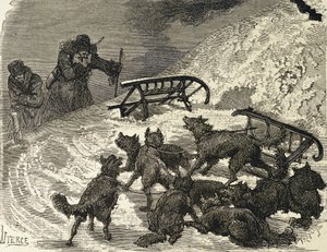 Siberia. Sleigh overturned