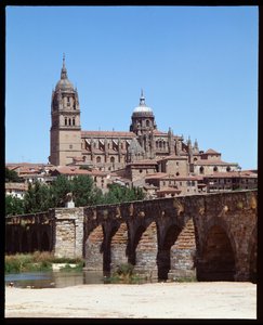 View of Roman Bridge on River Tormes and Cathedral
