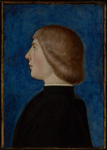 Portrait of a Young Man by School of Ferrare
