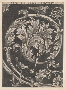 Speculum Romanae Magnificentiae: Ornamental foliage from churches by School of Raphael