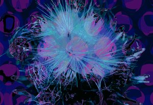 Artichoke by Scott J. Davis