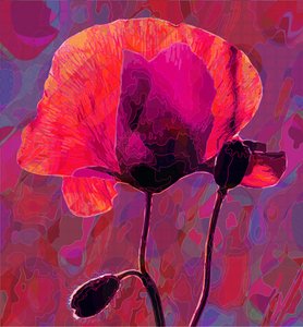 Poppy20