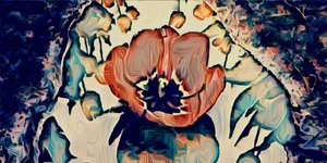 Water Lily, 2021