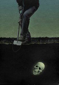A Skull in Connemara