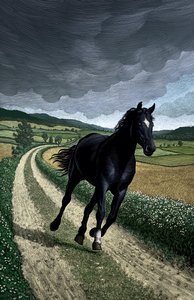 Black Beauty