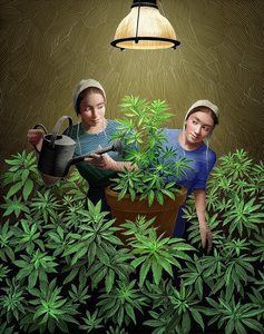 Grow