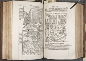 Cosmographia, Fol 436-437 by Sebastian Munster