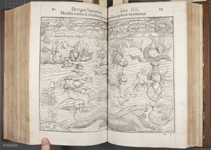 Cosmographia, Fol 852-853, 1544 by Sebastian Munster