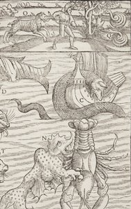 Cosmographia, Fol 853, 1544 by Sebastian Munster