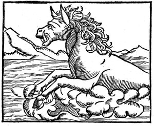 Sea Monster