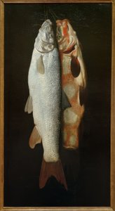 Fish Still Life