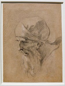 Head of an Old Man