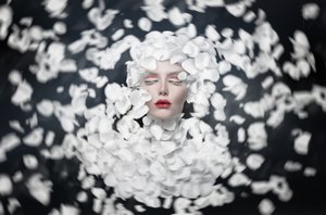 White Petal Dream