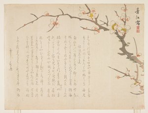 Flowering Plum, January 1837 by Seik Hashimoto