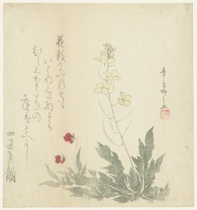 Flowering Plants by Seiseikyo Ryûshi