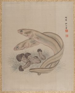 Eels