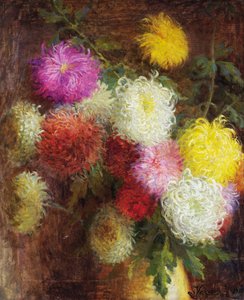 Chrysanthemums by Serafino Verazzi