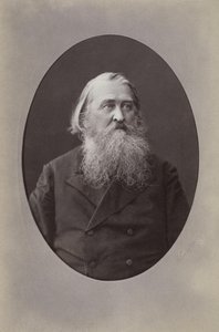 Portrait of the poet Aleksey Nikolayevich Pleshcheyev