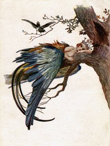 Fairy tales. The Blue Bird. Illustration by J. Solomko, Czech Republic