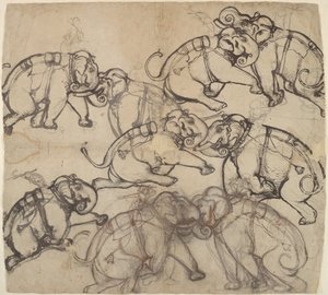 Five Views of an Elephant Combat by Shaykh Taju