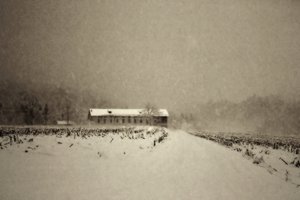 Winter Barn Landscape by Sheila Bernard