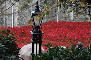 Blood Swept Lands and Seas of Red, Tower of London