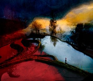 Solitary Terraces Glow