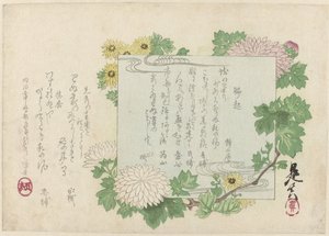 Chrysanthemums