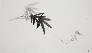 Flower Studies by Shibata Zeshin