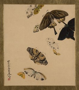 Lacquer Paintings of Various Subjects: Butterflies by Shibata Zeshin