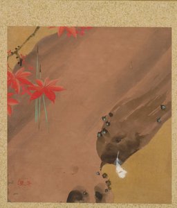 Leaf from Album of Seasonal Themes: Moths, 1847