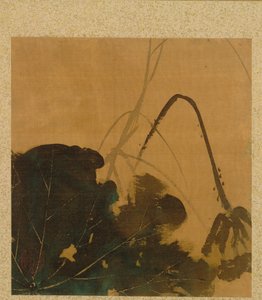Lotus from Album of Paintings by the Venerable Zeshin