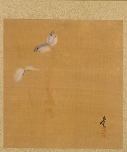 Moths from Album of Paintings by the Venerable Zeshin by Shibata Zeshin