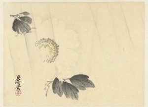 White Peony in the Rain by Shibata Zeshin