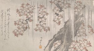 Cherry Blossoms in the Rain by Shinsai