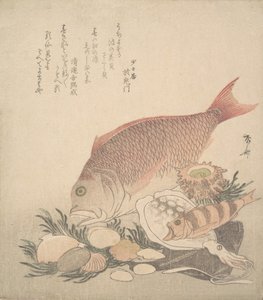 Large and Small Fish Swimming Among Shells and Moss at the Bottom of the Sea