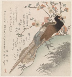 Pheasants Before a Blossoming Branch (Seven Images of Birds and Flowers for the Fuyôren Poets