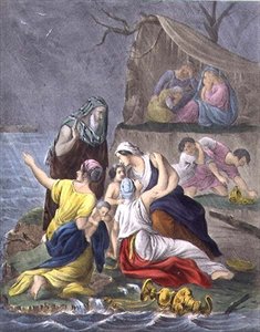 The Flood, from a Bible Printed by Edward Gover