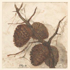 Pine Cones on a Branch by Sientje Mesdag van Houten