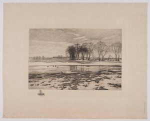 Winter Landscape