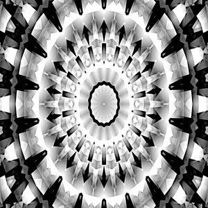 Black and White Symphony