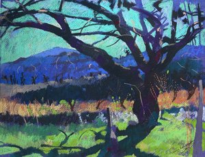 Cherry Tree Shadow, 2000