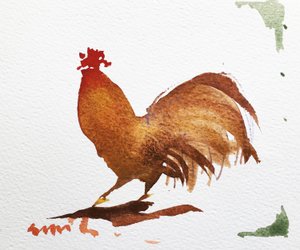 Cockrel 2, 2020