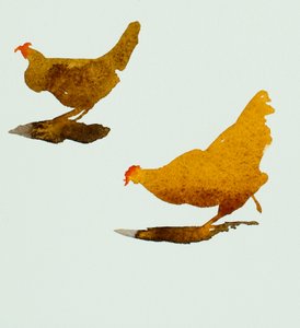 Two chickens, 2013