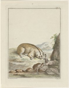 Sloth by Simon Fokke