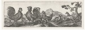 Poultry (Birds and Insects series) by Simon Frisius