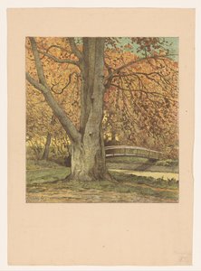 Tree by a Stream in Autumn by Simon Moulijn (attributed to)