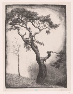 Pine Tree by Simon Moulijn (signed by artist)