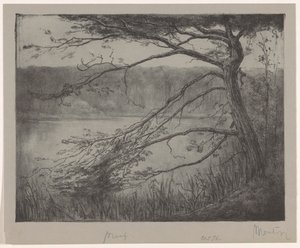 Pond near Oisterwijk